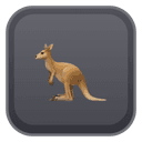 Extension Icon